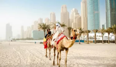 Plan a Trip to Dubai