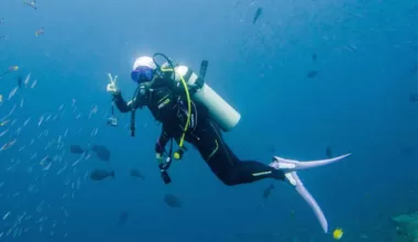 Scuba Diving in Dubai